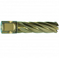 Сверло корончатое Karnasch (Карнаш) GOLD-LINE 43x55 арт. 20.1270u-43